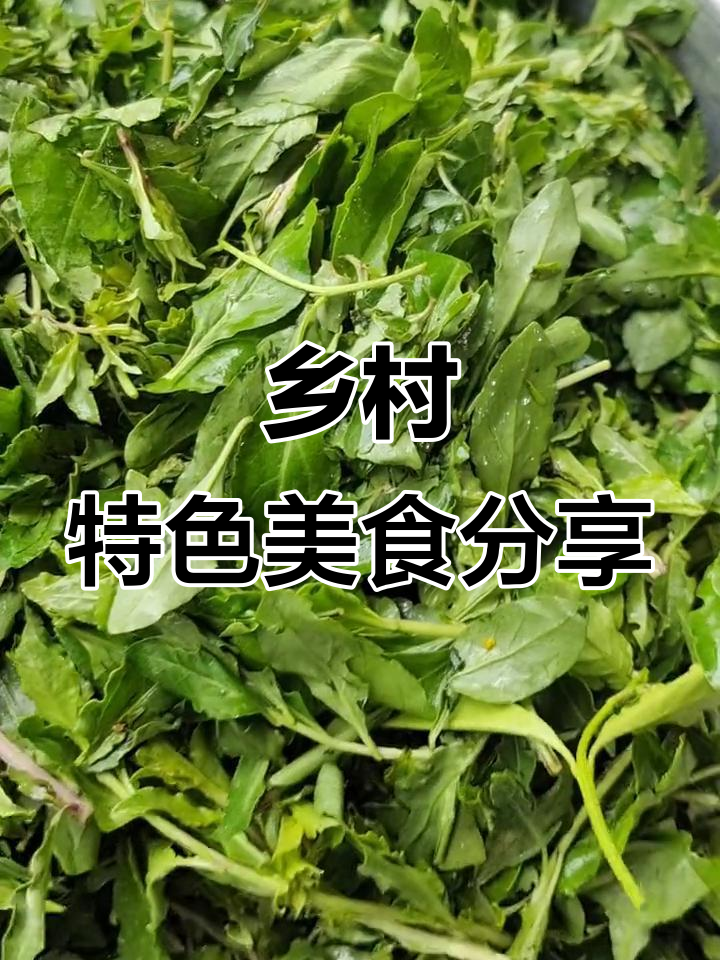 农村的野菜大餐,花椒叶炒鸡蛋和枸杞龙须菜的独特美味