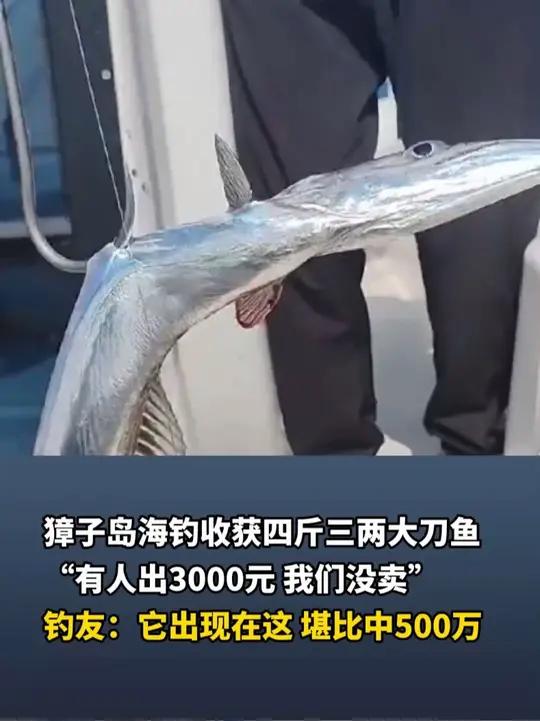 獐子岛海钓收获四斤三两大刀鱼，“有人出3000元，我们没卖”，钓友：它出现在这，堪比中50