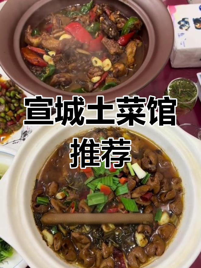 安徽宣城土菜馆,干饭人必试鸡锅子和大肠锅子