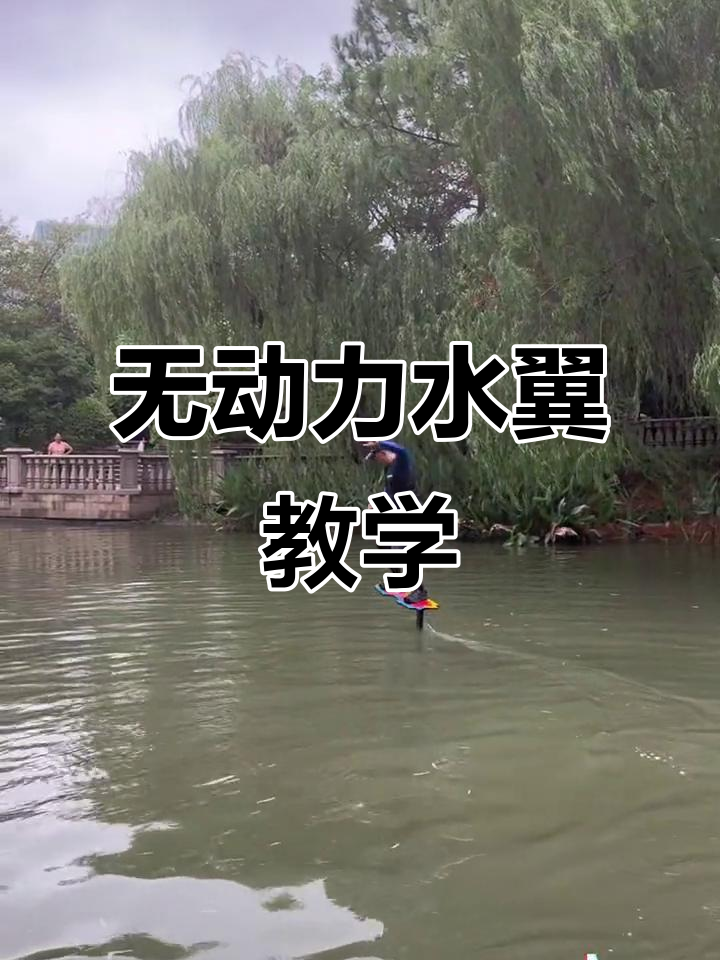 田教练挑战无动力水翼板,飞鱼动作惊艳全场