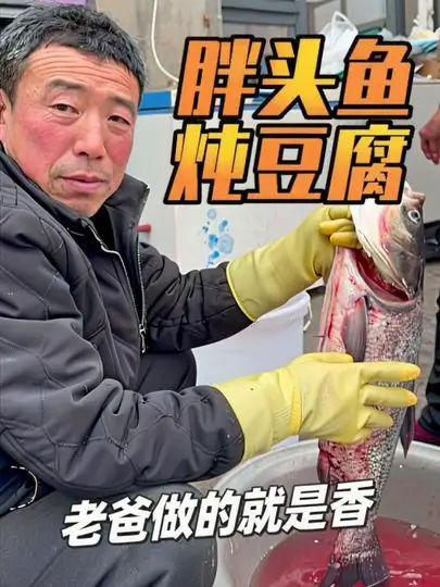 看看老爸做的胖头鱼炖豆腐能有多香