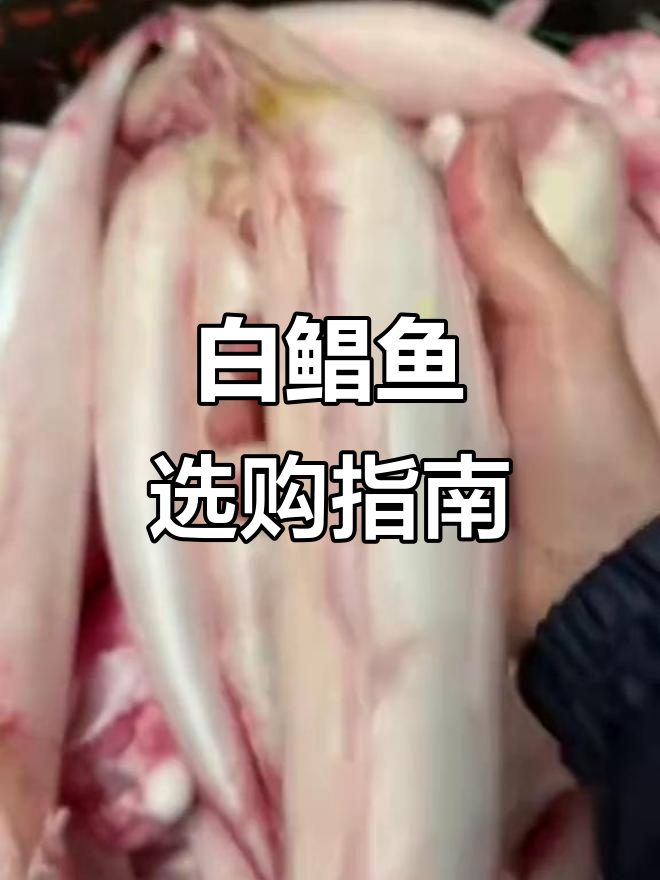 野生白鲳鱼品质与价格全解析，选对大小和新鲜度更值！