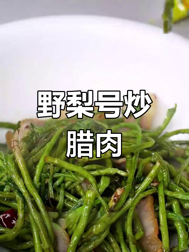 野生泥蒿炒腊肉,家乡的味道