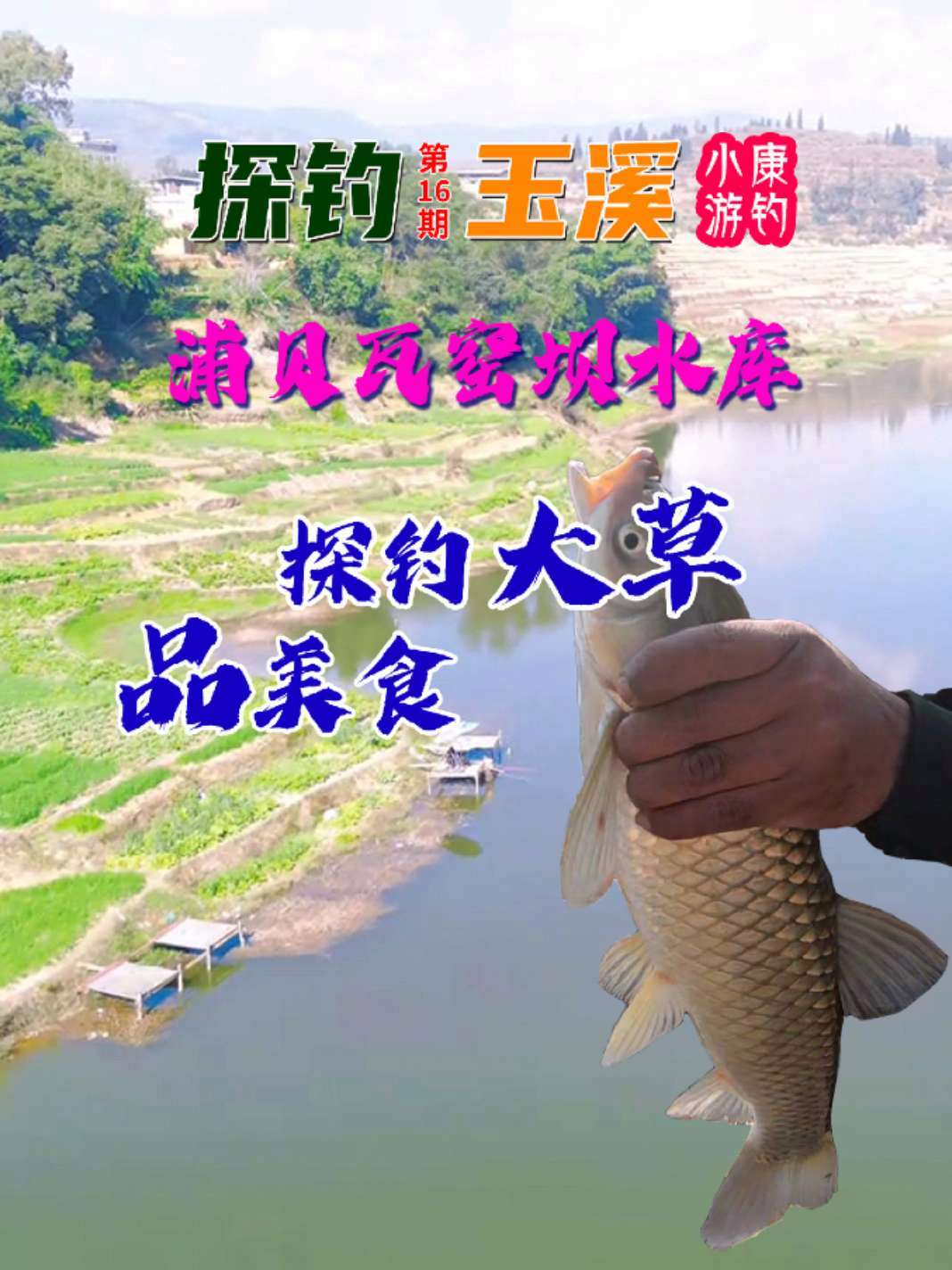昆明周边玉溪浦贝瓦窑坝水库探钓大草鱼品美食 此刻才理解为什么钓鱼是运动 野钓空空康 万物皆