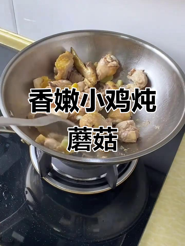 小鸡炖榛蘑粉条，香气扑鼻让人无法抗拒