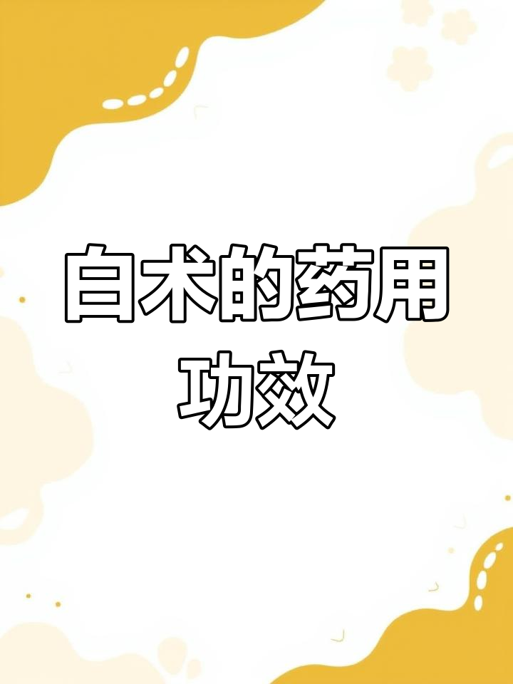 每天学一味中药,白术的神奇作用