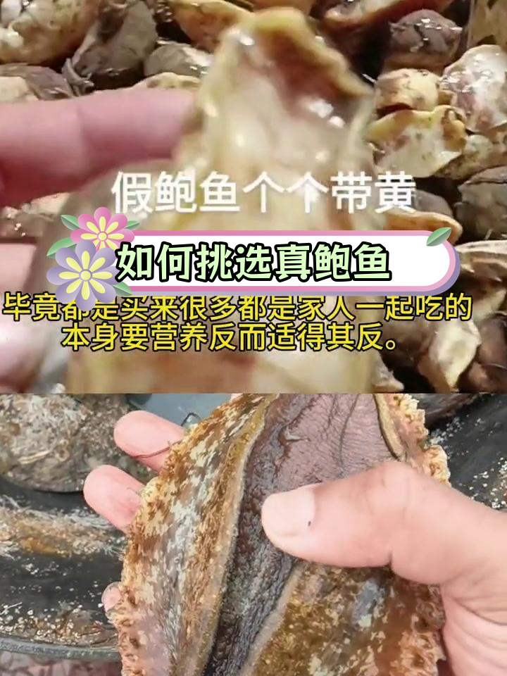 真假鲍鱼辨别技巧,避免被误导
