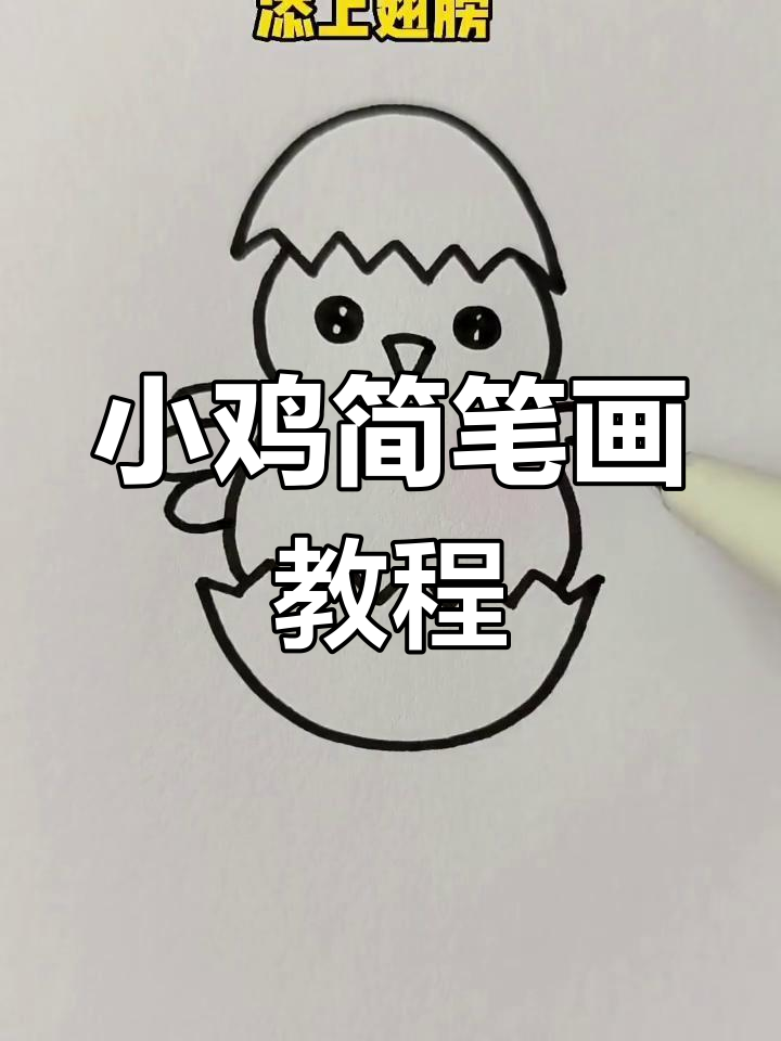 轻松画出可爱小鸡,步骤简单又有趣