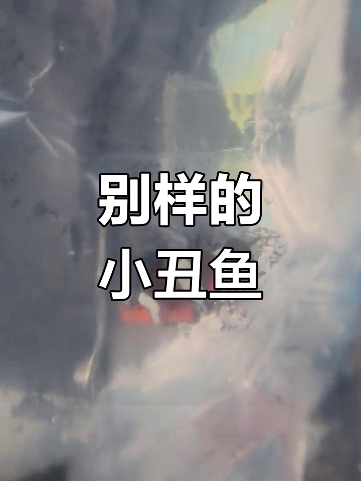 这条小丑鱼真特别,哥哥送的大礼物