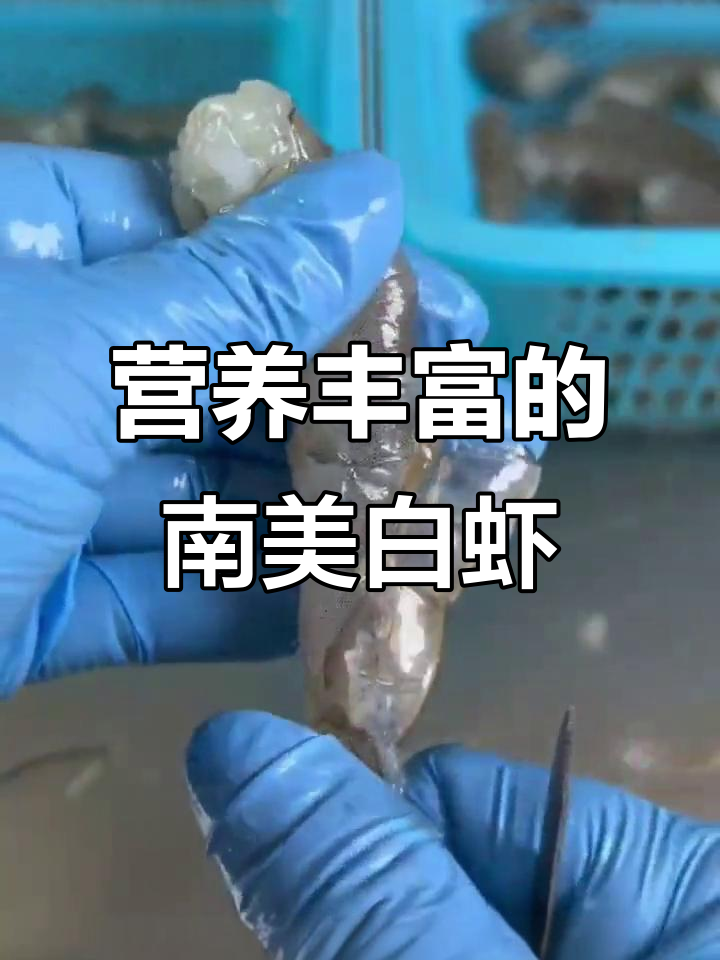 南美白对虾,肉质鲜美,营养丰富,全球产量领先