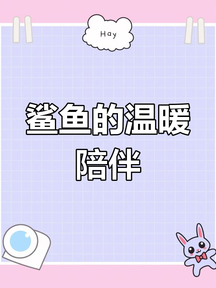 在瓦亚格鲨鱼点,温柔的小家伙伴你左右