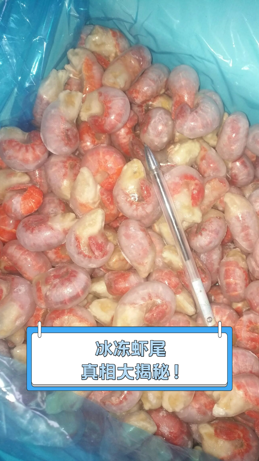 冰冻虾尾，真相大揭秘！