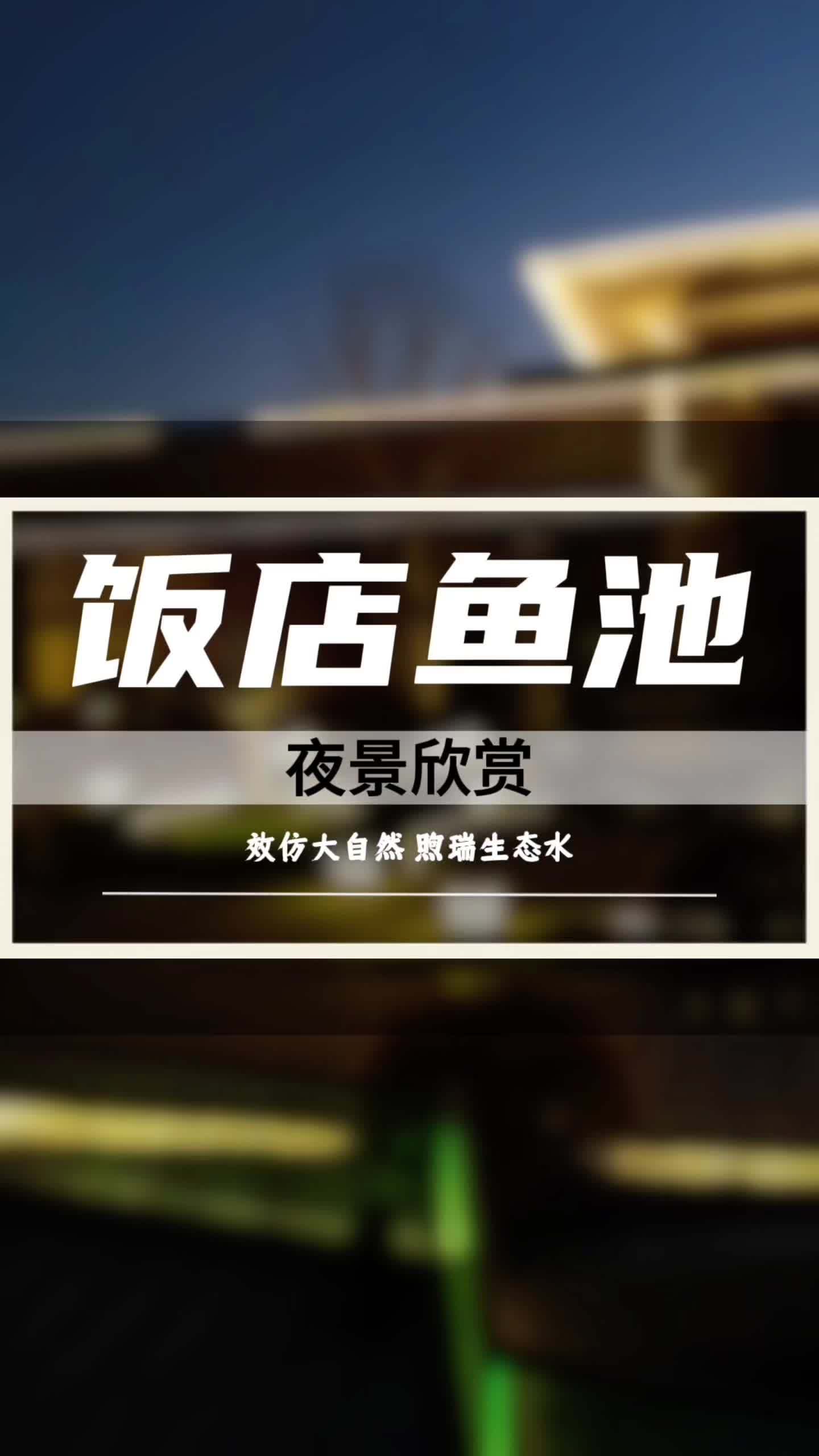 苏州胥江宴饭店景观鱼池夜景效果 景观鱼池 鱼池过滤系统 鱼池设计施工 鱼池假山 鱼池改造