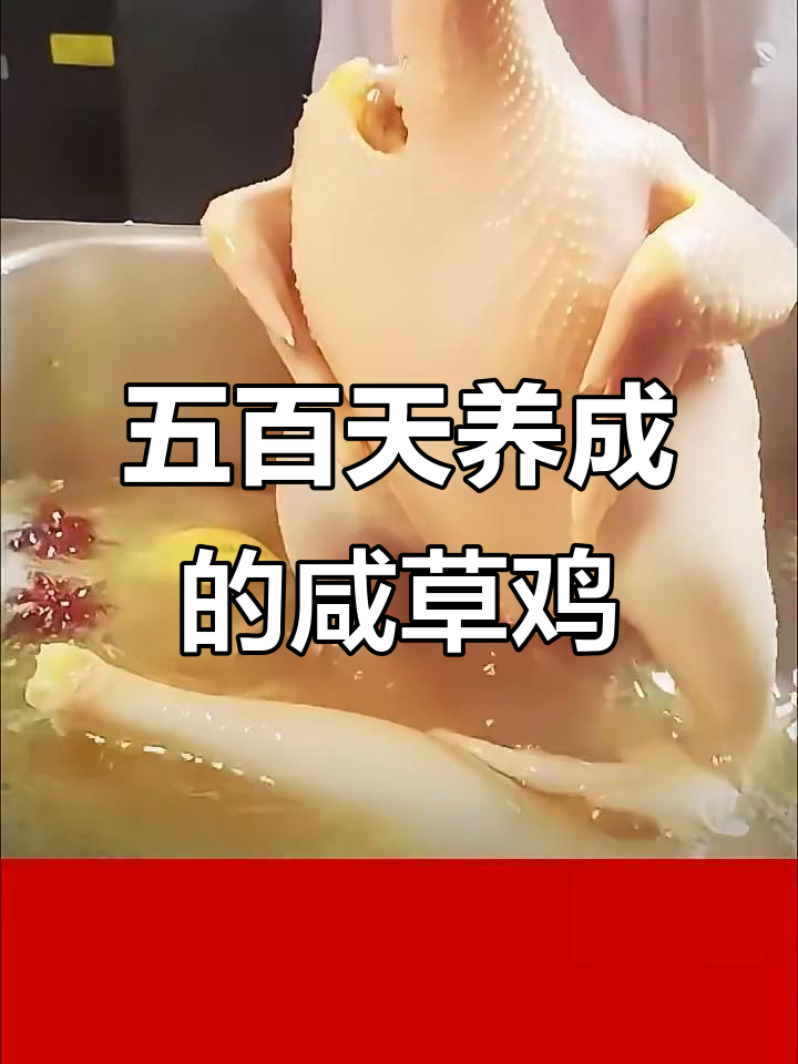 咸草鸡：皮滑肉弹，卤香十足的经典家常美味