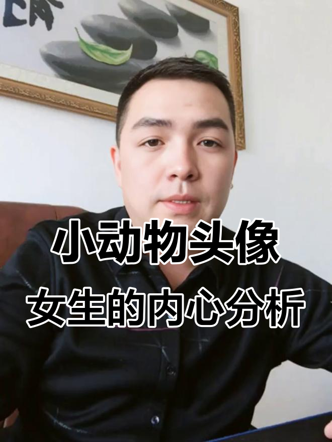 用小动物做头像的女生性格解析:温柔又孤独