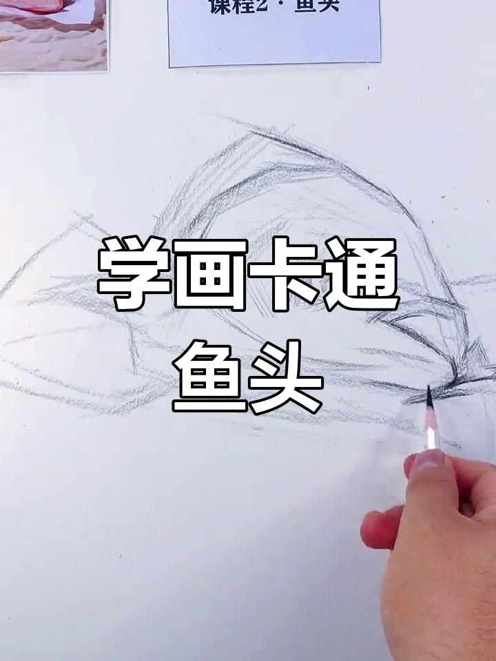 快速掌握素描鱼头技巧,轻松画出可爱造型