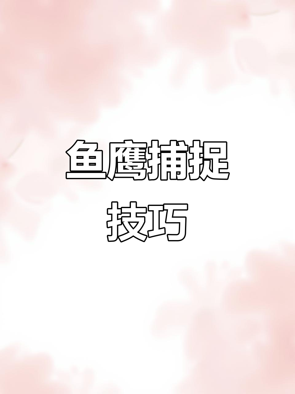 鱼鹰捕食现场:从水里到空中,速度惊人