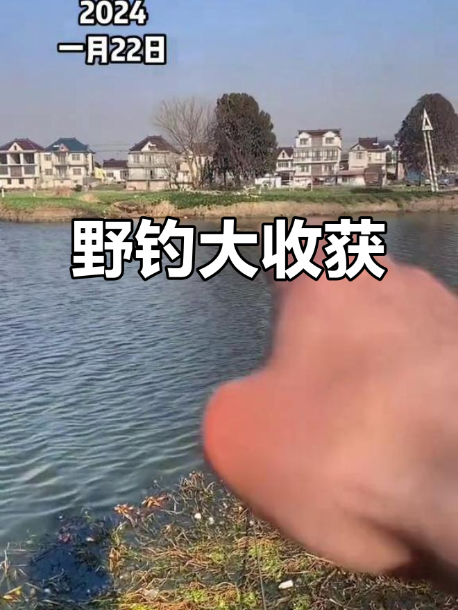 小黑米昨晚大获丰收,今晨又捕到十几斤野生鱼!