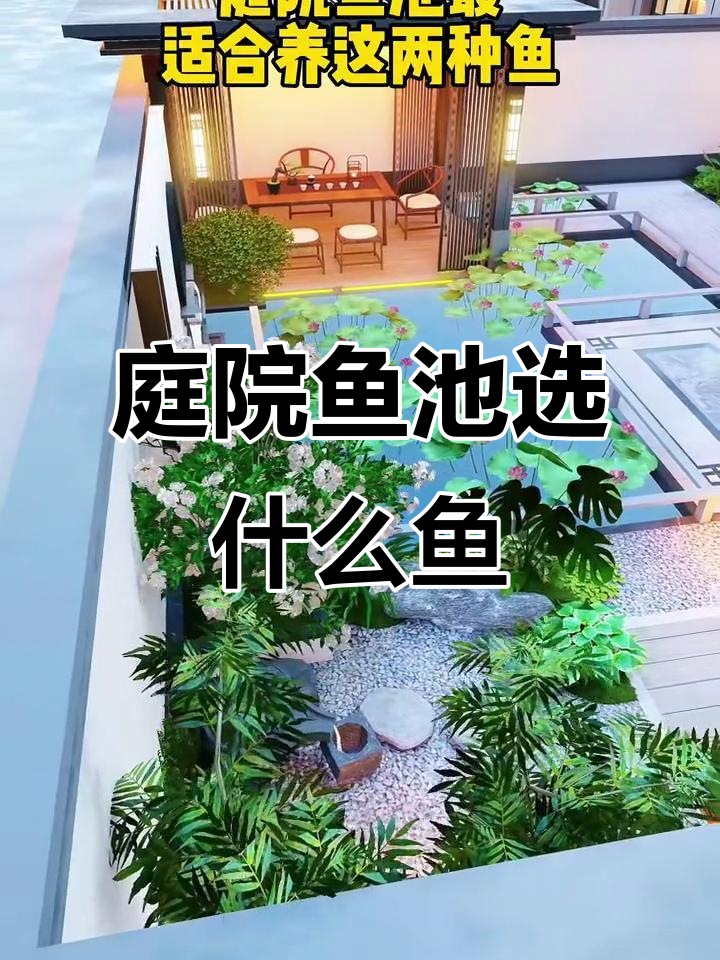 庭院鱼池适合养金鱼和锦鲤,冷水热带鱼不适合