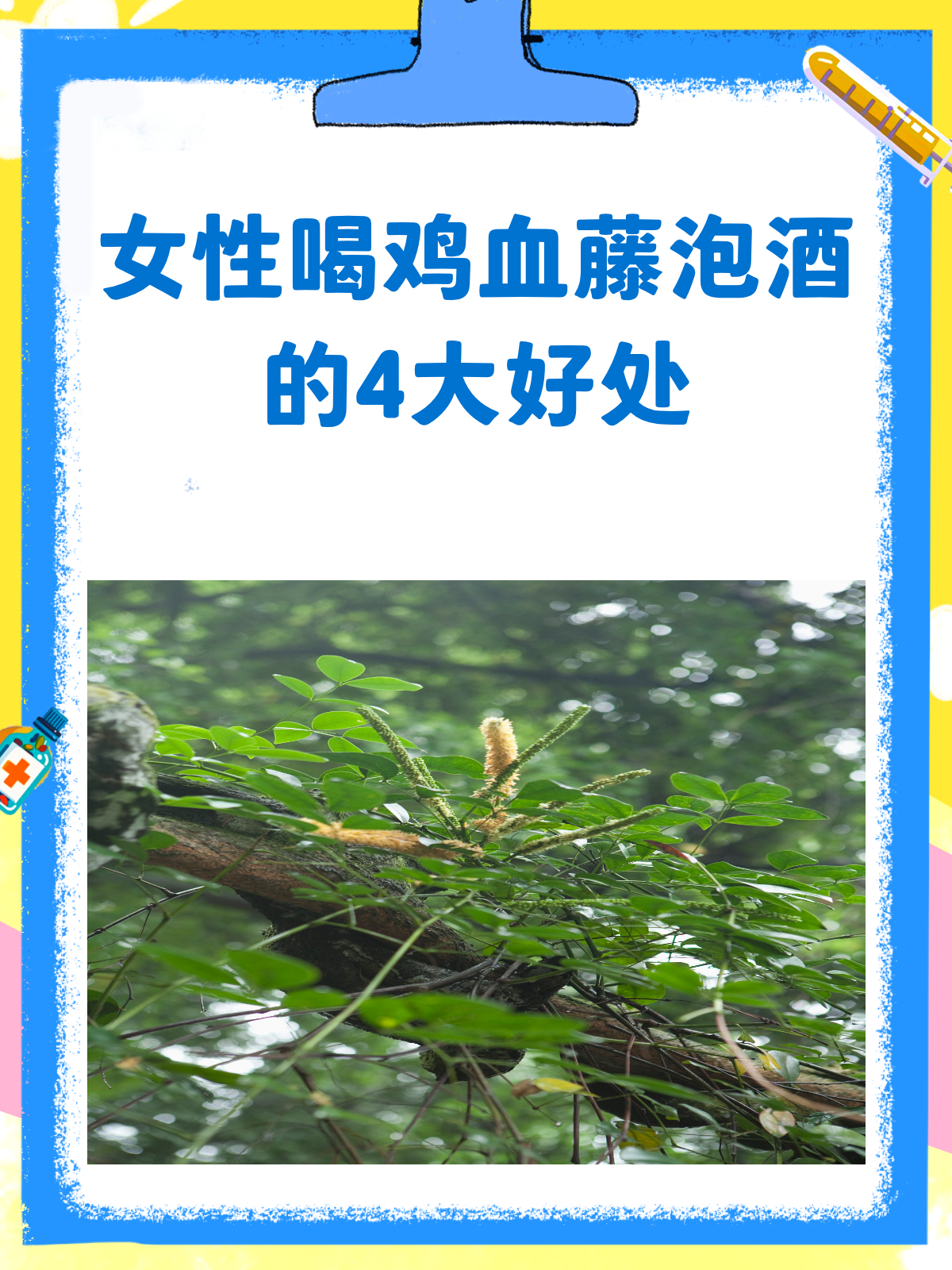 揭秘！鸡血藤泡酒，女性饮用的五大惊喜