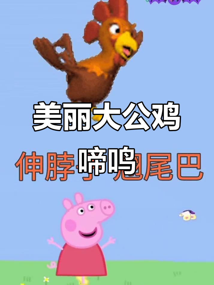 大公鸡穿花衣,红花戴脖颈,翘尾鸣叫迎接新的一天