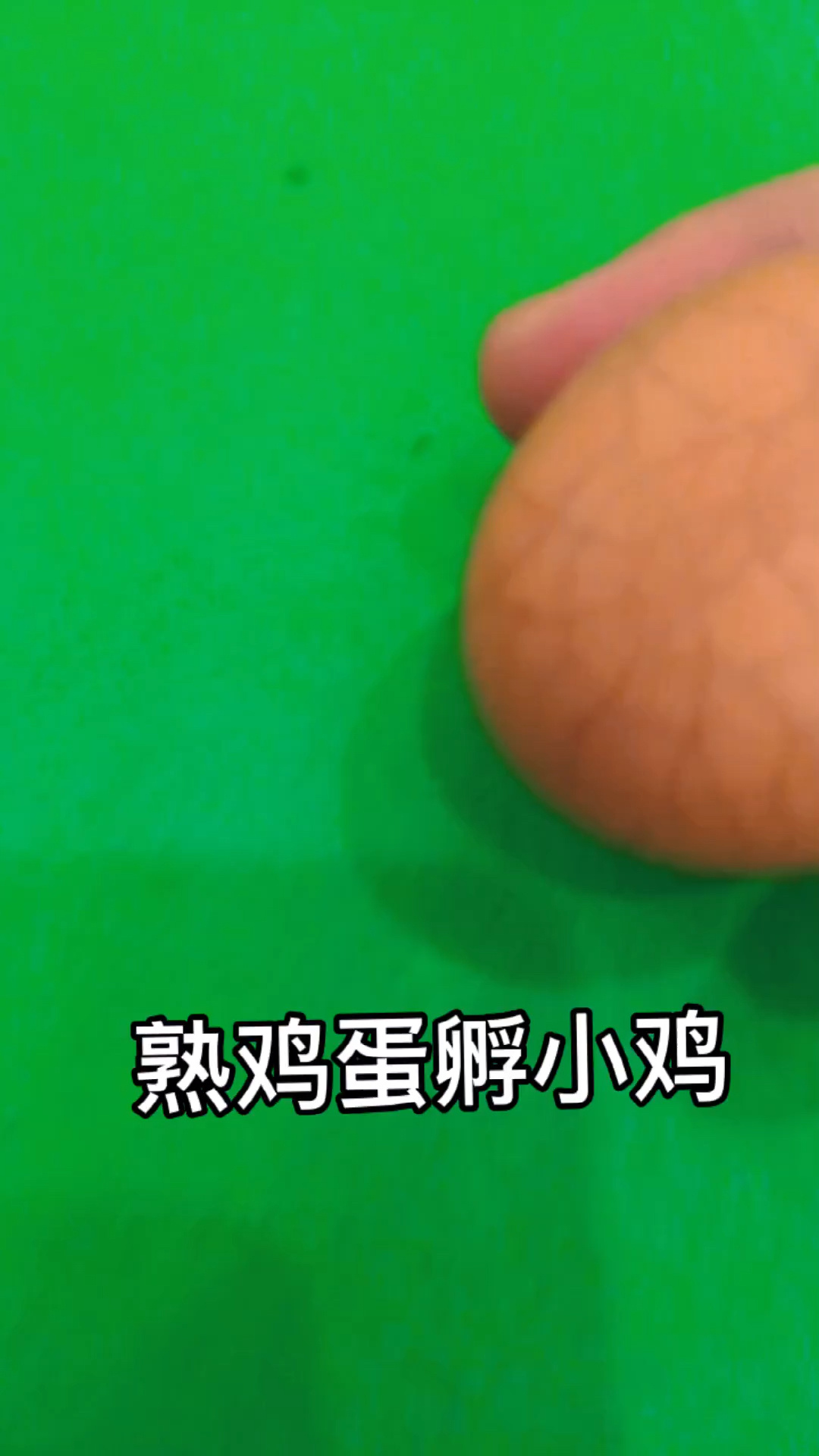 熟鸡蛋能不能孵出小鸡
