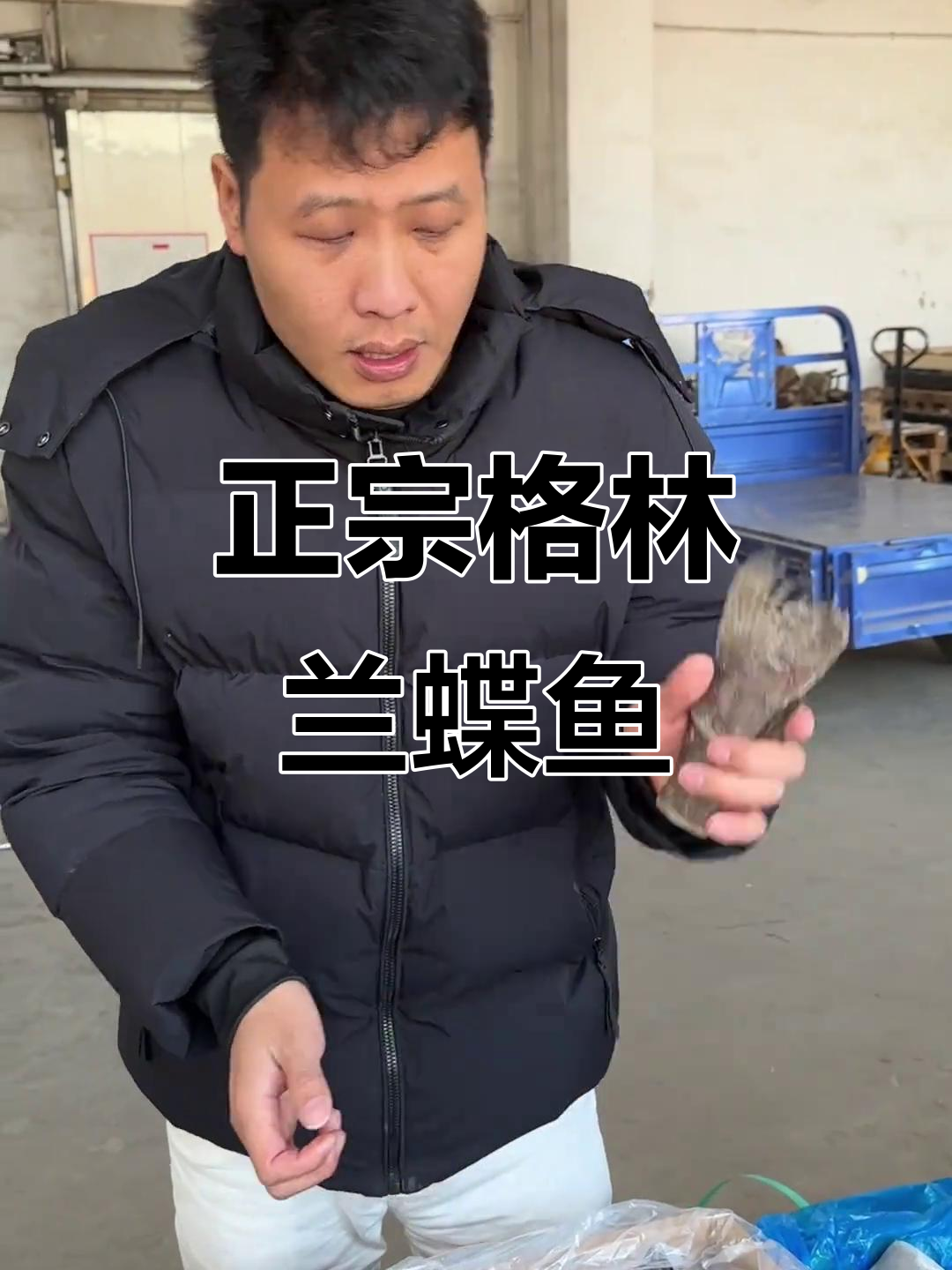 格林兰碟鱼:虽丑但香,肉质细腻让人惊艳