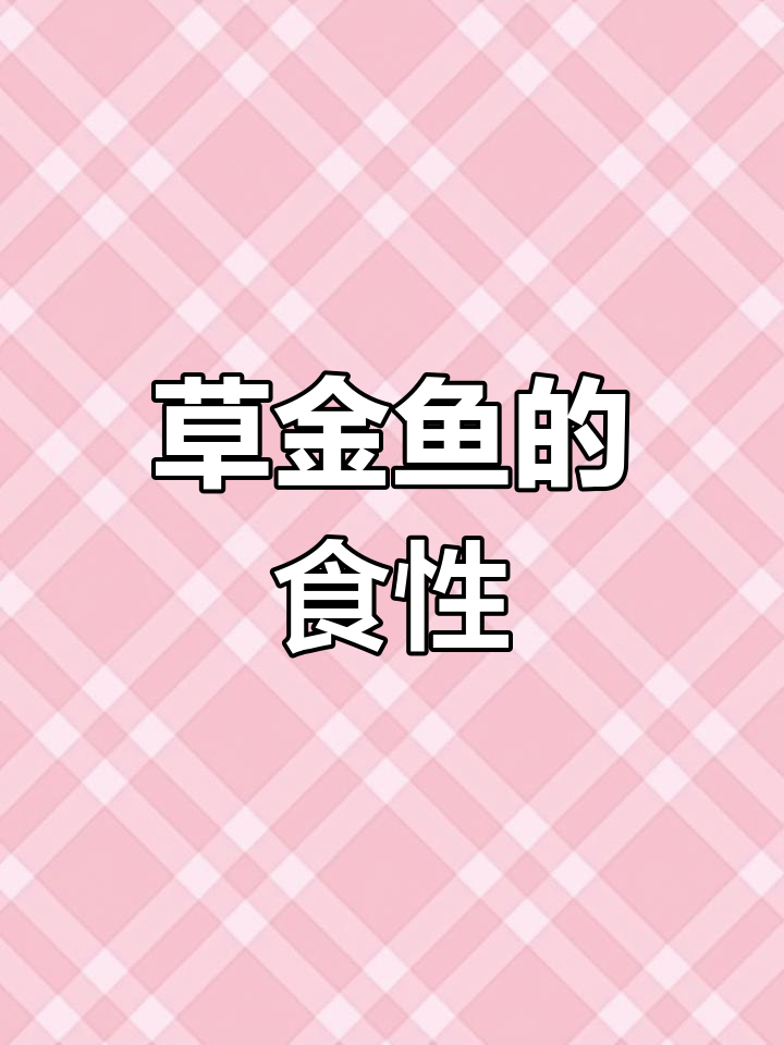 草金鱼偏爱的食物种类