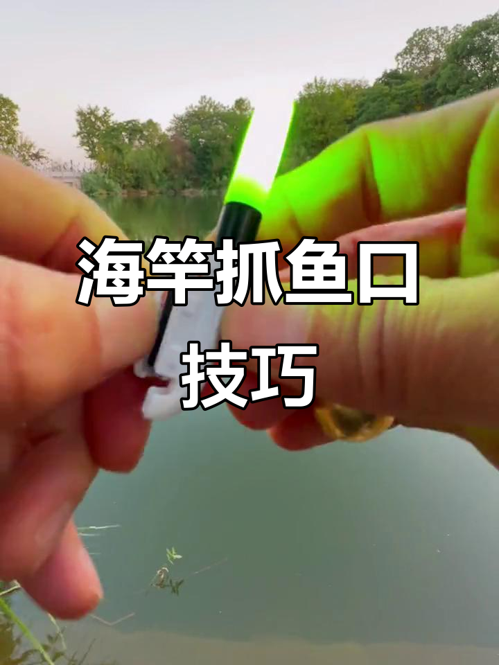 海竿矶竿钓鱼技巧:如何精准抓鱼口
