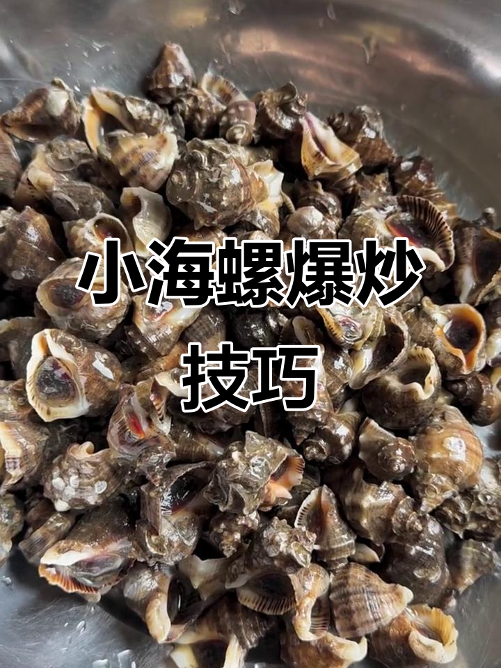 爆炒小海螺，保姆级教程轻松学会