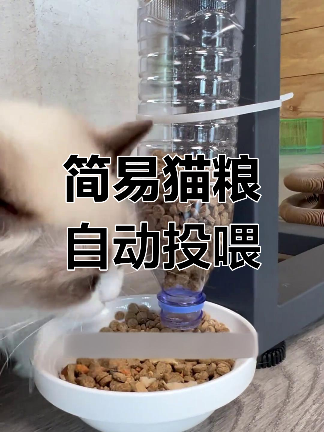 自制猫咪喂食器,省钱又实用