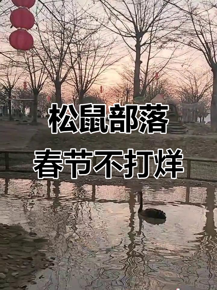 春节倒计时,松鼠部落欢乐遛娃,天鹅湖美景等你来探