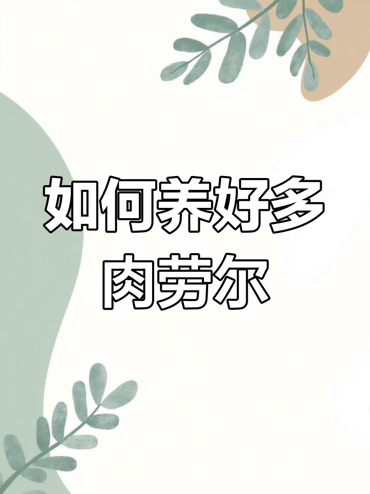 劳尔多肉养护全攻略:光照、浇水与施肥技巧