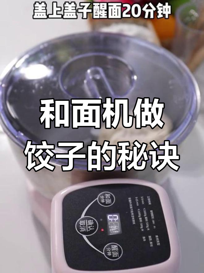 饺子皮薄又劲道,和面机帮你轻松搞定!