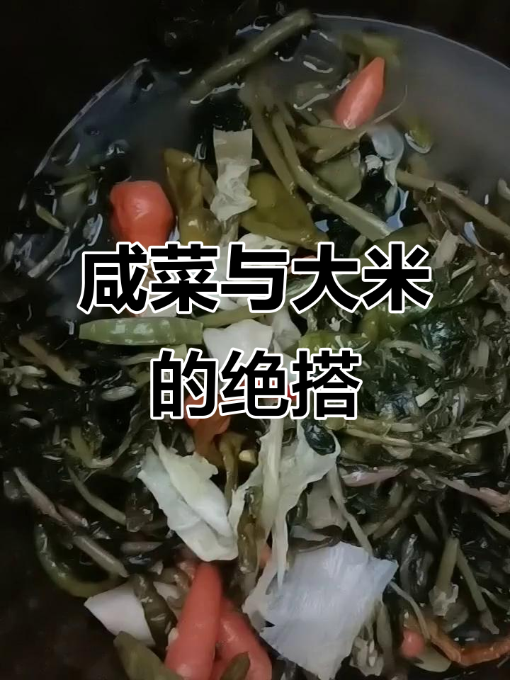 大姑腌的咸菜,配大米粥最下饭!