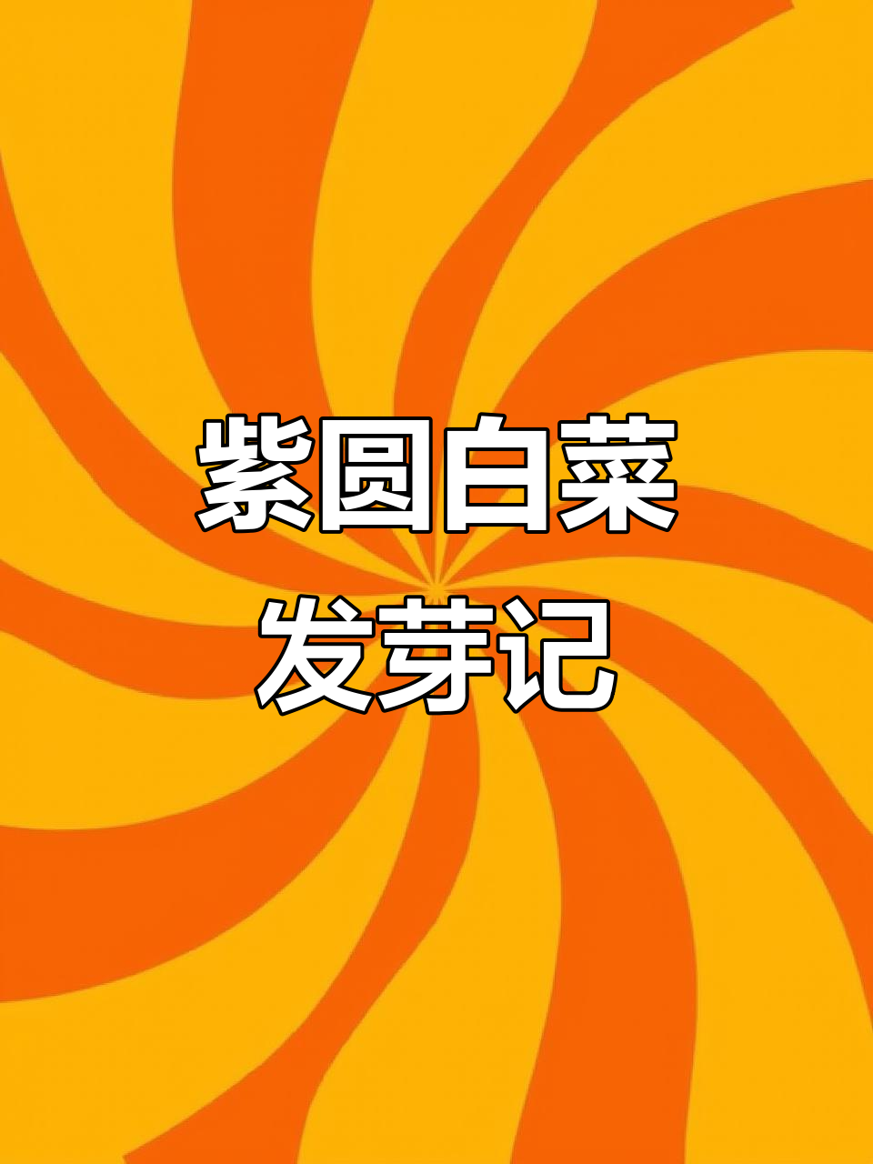 半个紫圆白菜泡水三天，竟然长出了小根和小芽！