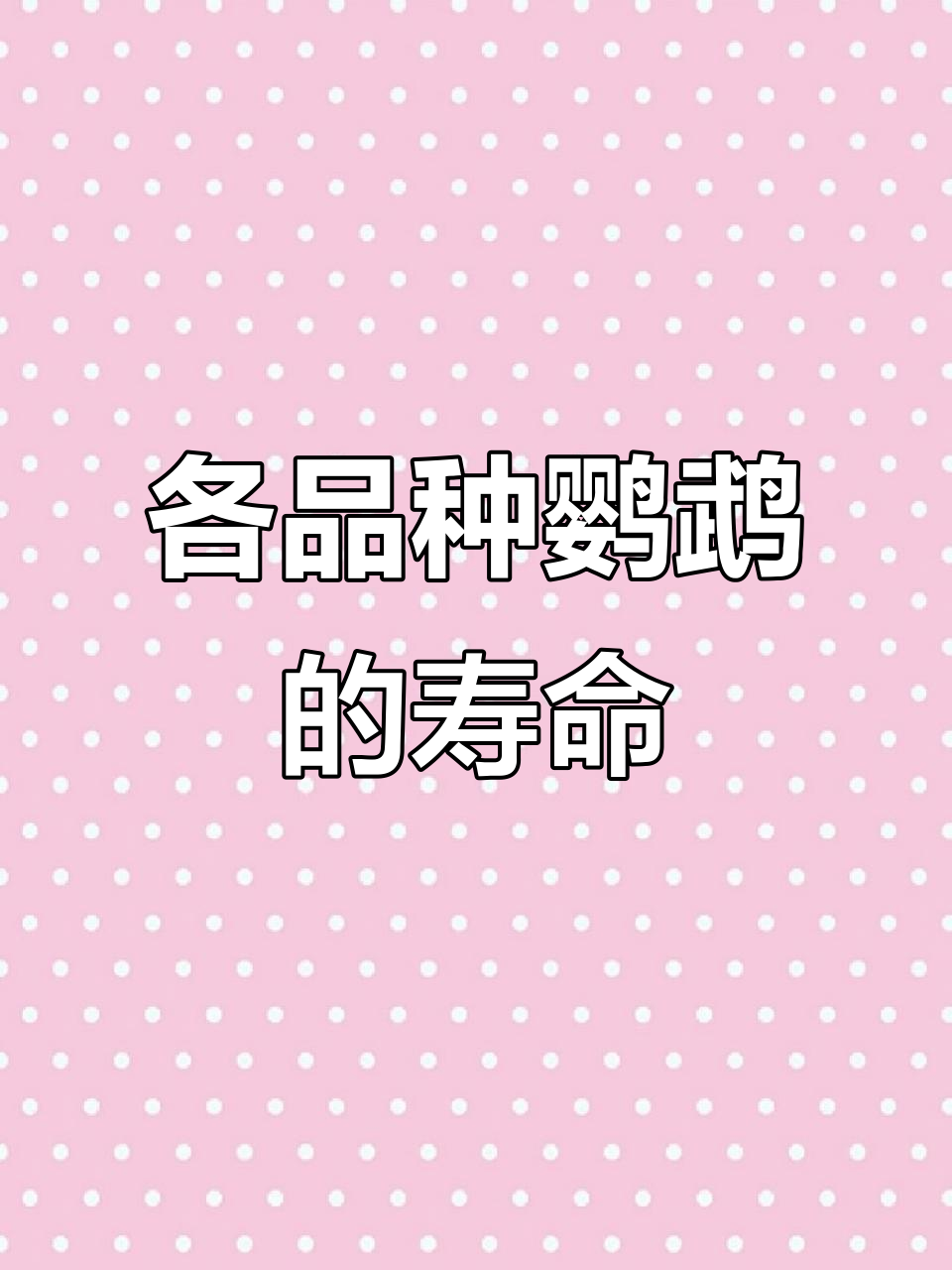 14种鹦鹉寿命大揭秘，哪种最适合陪伴你？