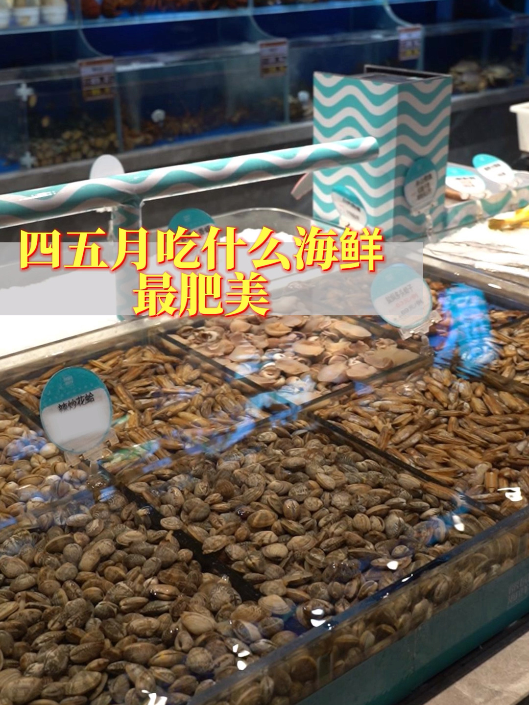 四五月吃什么海鲜最合适?