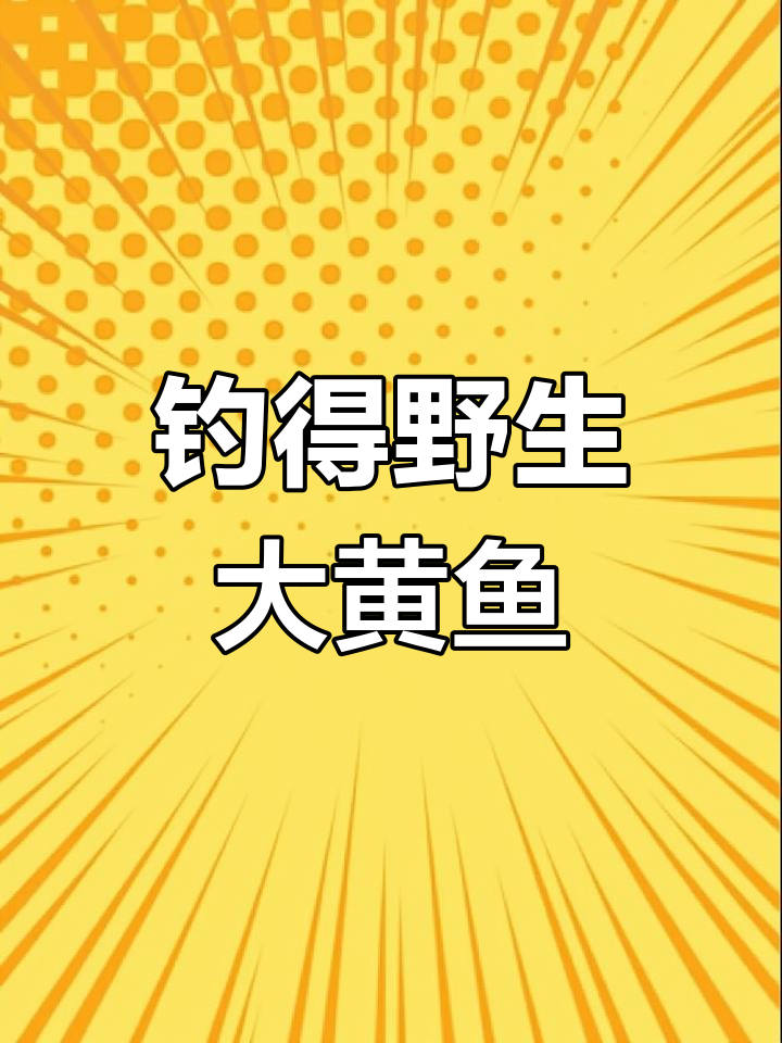 钓友捕获野生大黄鱼,金光闪闪价值上万,真乃“黄金鱼”也