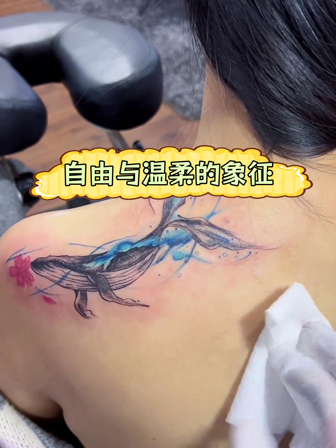 海洋与鲸鱼的温柔之约