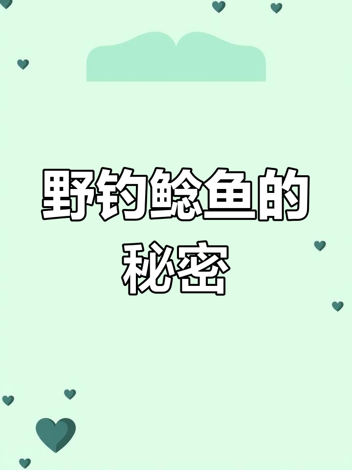 夜钓鲶鱼技巧大揭秘
