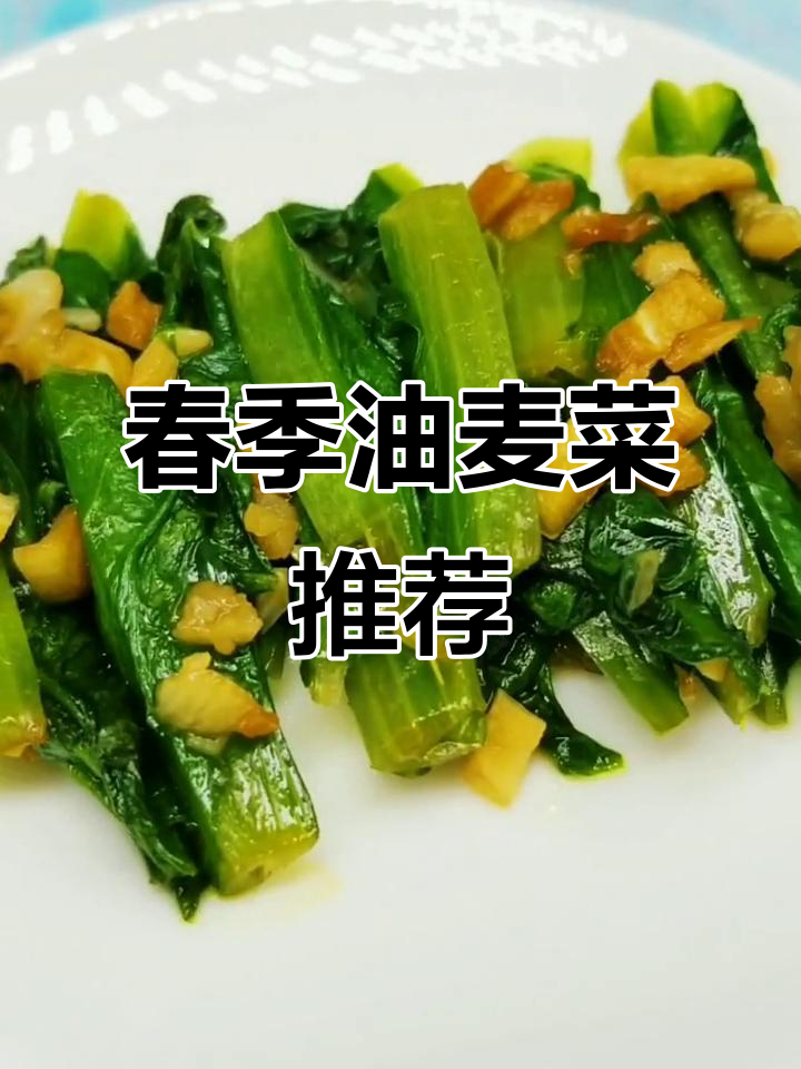 油麦菜富含营养,春季宝宝食用最佳,搭配米饭更美味