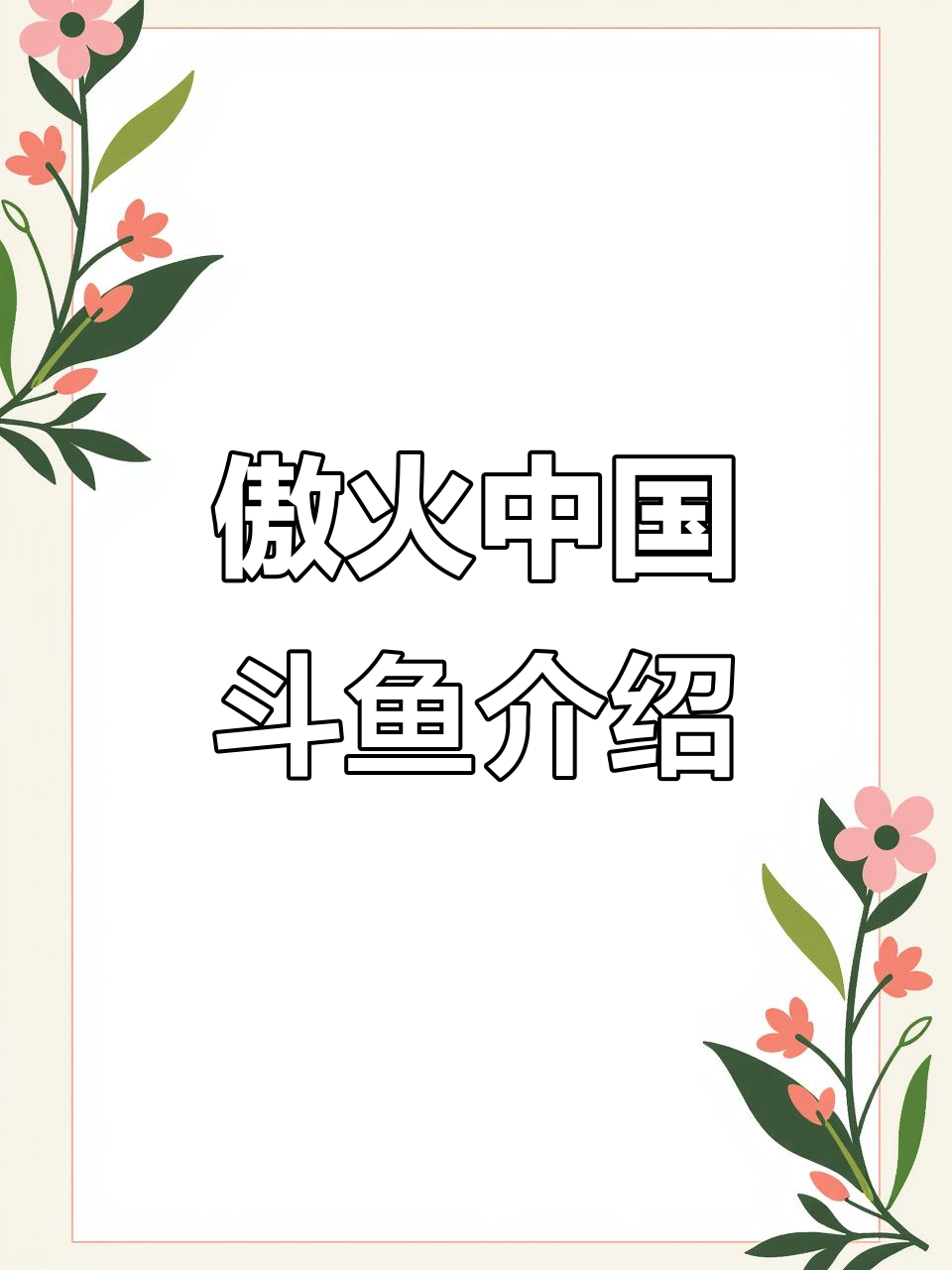 中国斗鱼傲火品种揭秘:红蓝相间,色彩鲜艳