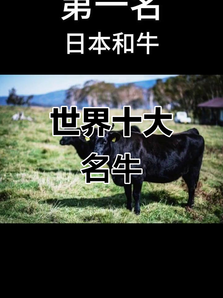 世界十大顶级牛种大揭秘,哪些牛肉最美味?