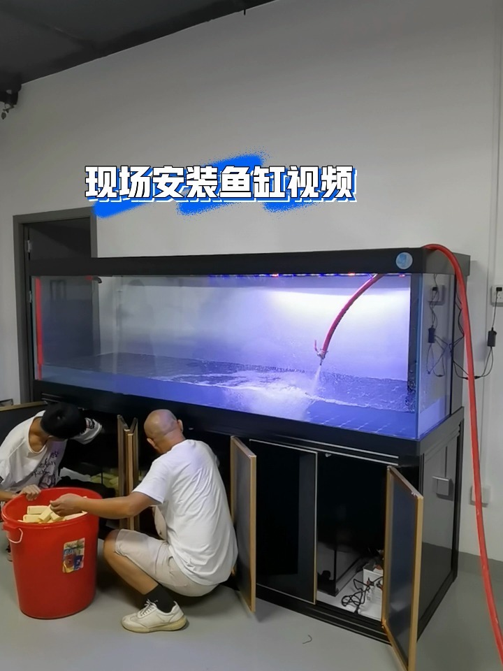现场大鱼缸安装视频