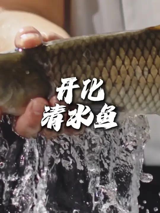 开化清水鱼!你也太享受了吧!