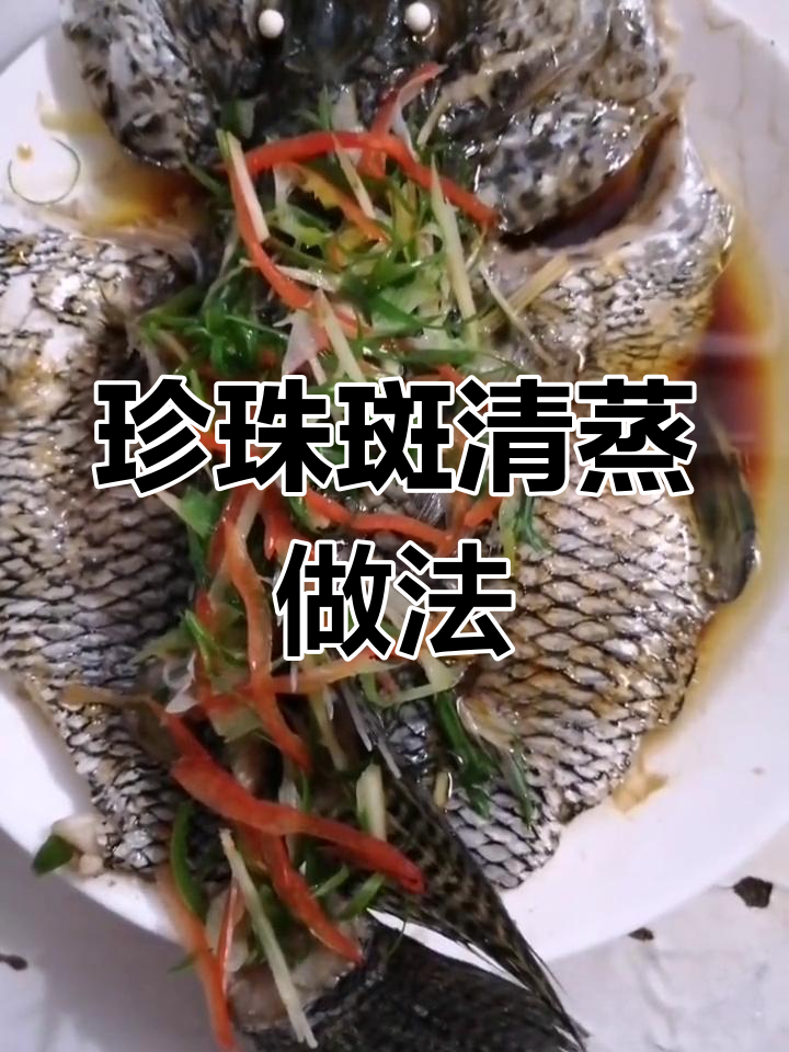清蒸珍珠斑,嫩滑口感秘诀
