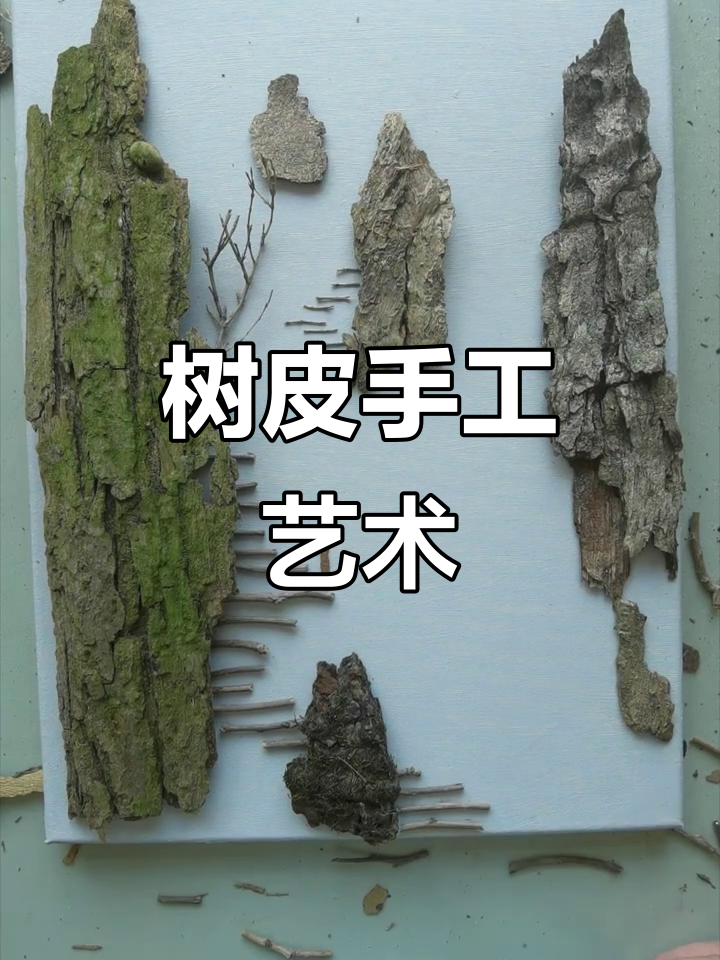 用树皮做手工,简单又好看,告别高价装饰画