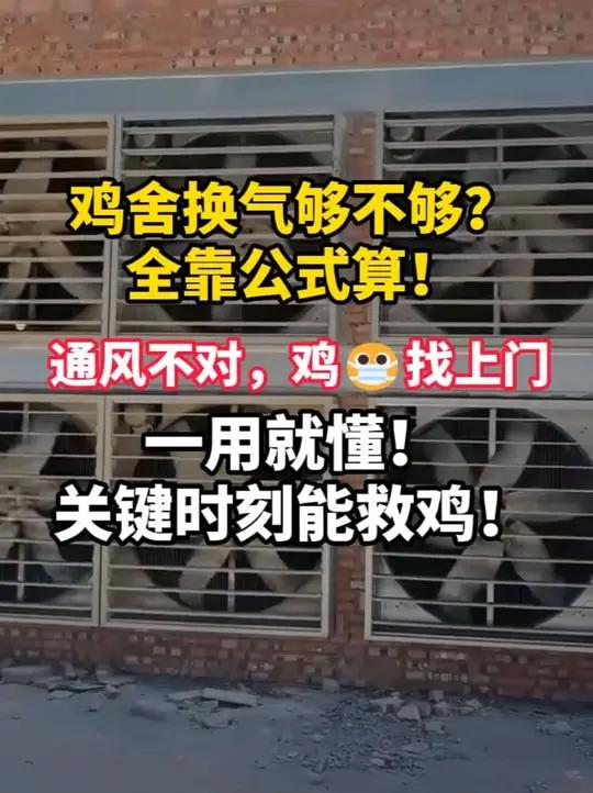 养鸡还在凭感觉通风?关键就在通风量!一个公式算明白,省心省费!禽病防治科学养殖鸡鸭鹅养殖养