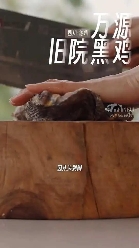 30 巴蜀珍馐记丨鸡中战斗鸡！万源旧院黑鸡，凭啥这么牛？@天府新视界 